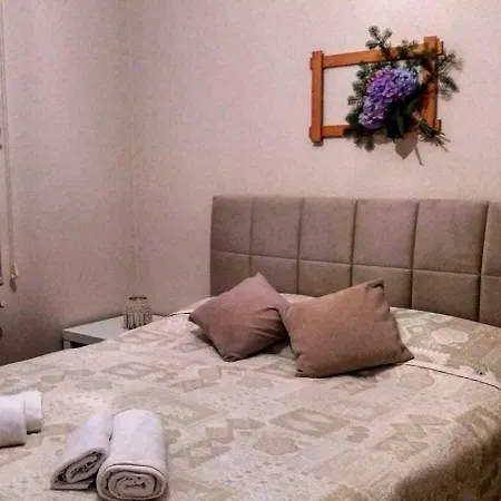 Zence'fil فيلة